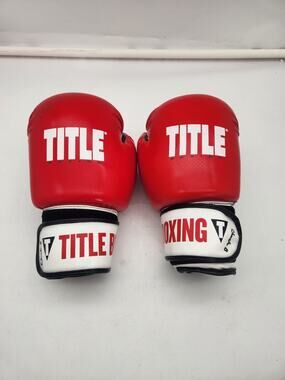 Title Boxing Red Training Boxing Gloves Size L